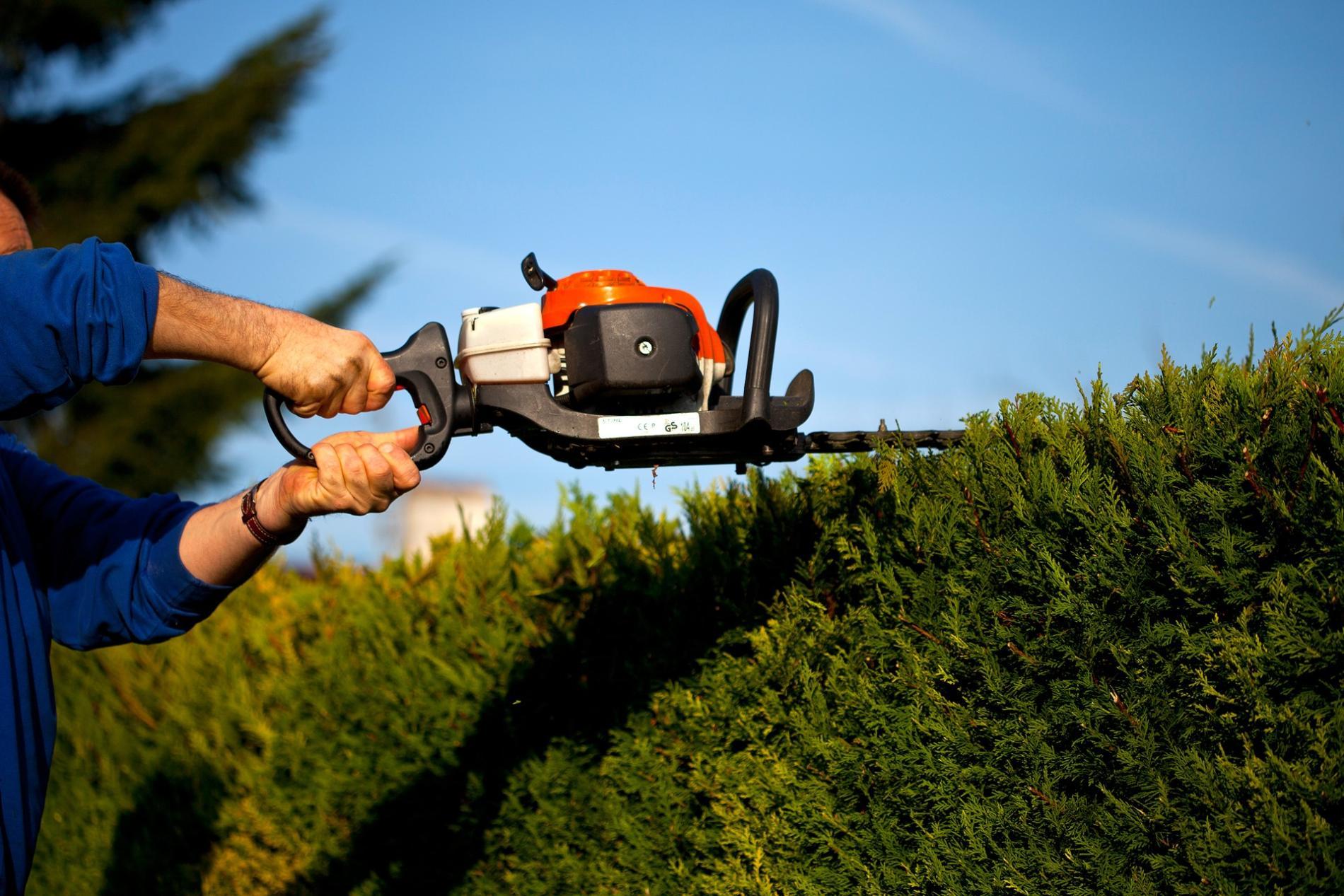 ﻿Quand tailler vos haies pour un jardin bien entretenu